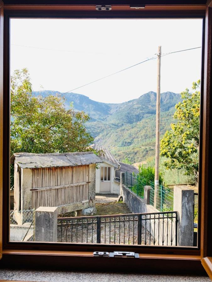 Willa "Casa Do Avo Armindo" Mountain Experience Vila Real Zewnętrze zdjęcie